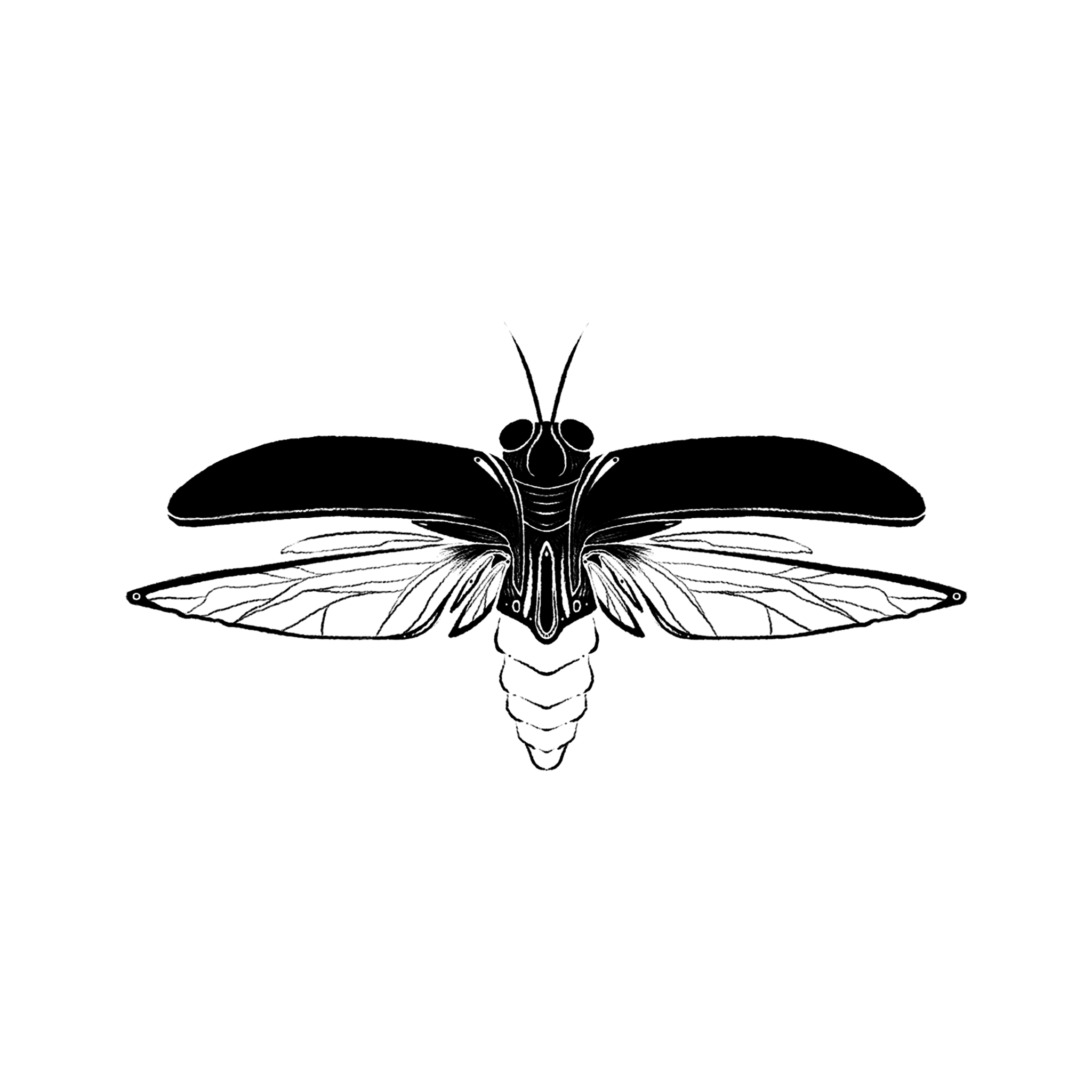 Image 1 of Ipot-ipot: Inchakto