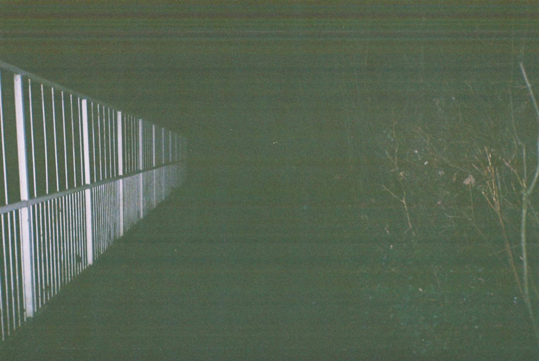 Image 1 of Mirages of Leaves in Spring